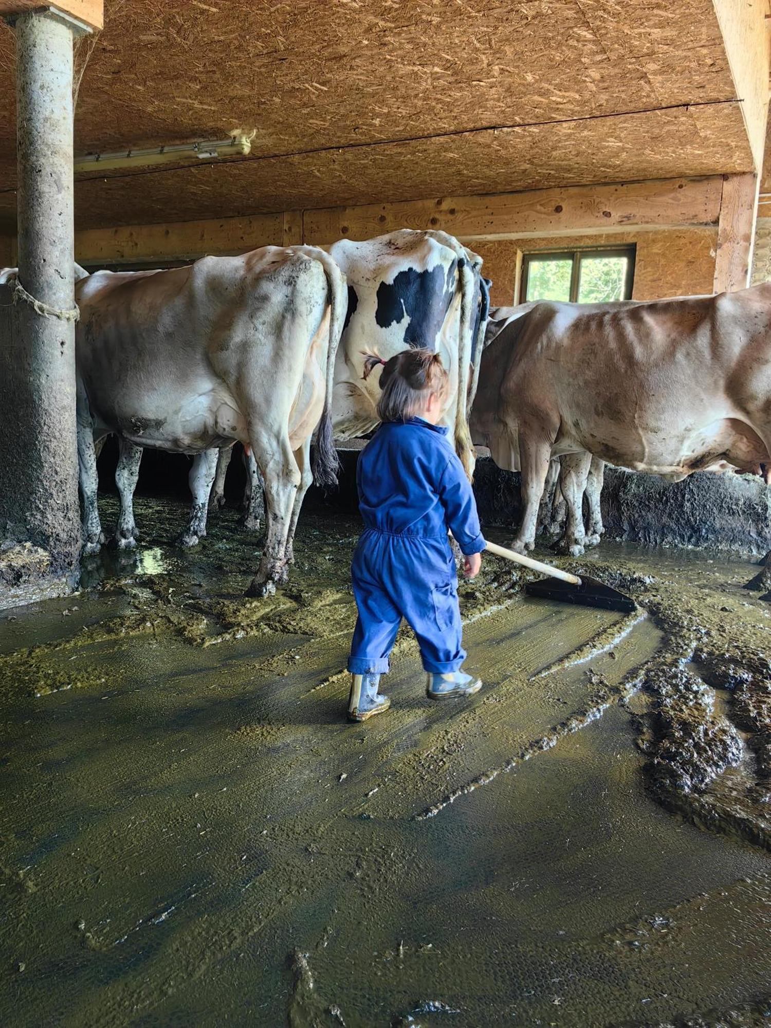 Voegelhof Leilighet Doren Eksteriør bilde